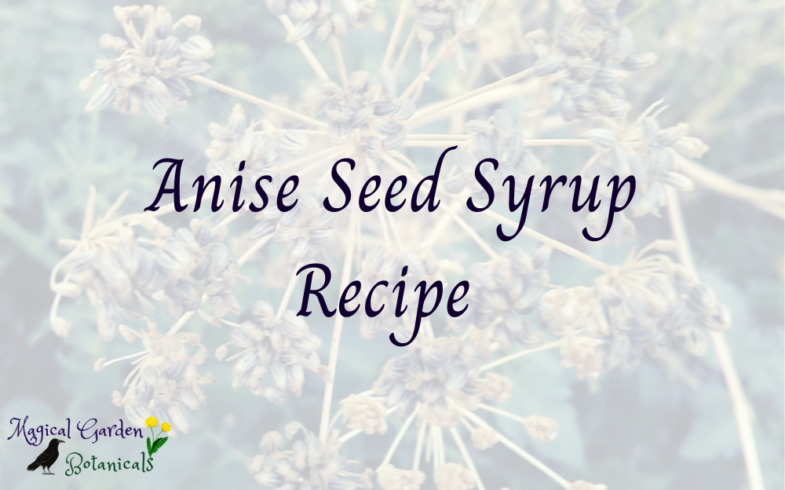 Anise Seed Syrup