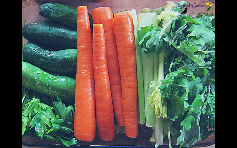 Healthy Juice Recipes for Liver Detox