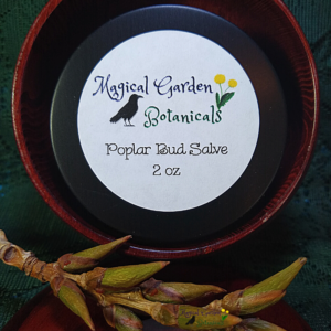 Poplar Bud Salve